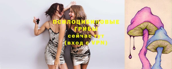 МДПВ Володарск