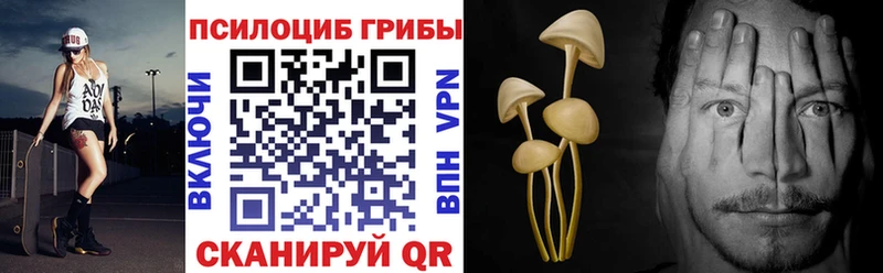 Галлюциногенные грибы Psilocybe  Зверево 
